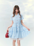 Blue checkered bow embroidered cake dress
